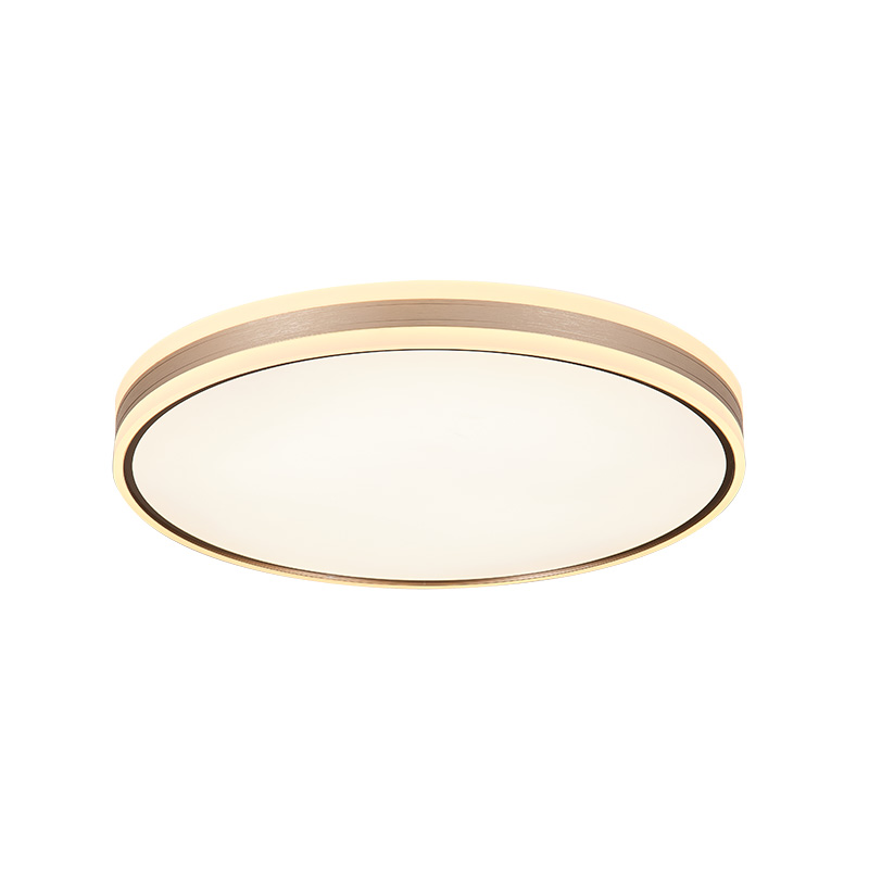 LED-W-60322 Round Ceiling Lamp